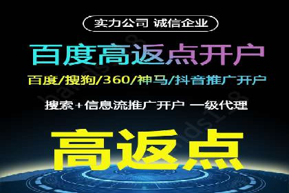 百度竞价排名机制：成功案例与策略探讨